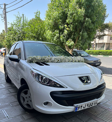 استفاده از دیزاین خطی برای گل آرایی ماشین عروس در قم