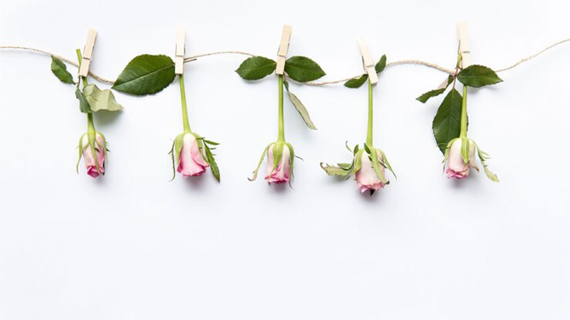 برعکس آویزان کردن گل‌ها برای خشک کردن برای باکس گل